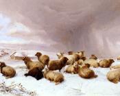 Sheep In Winter - 托马斯·辛德尼·库珀